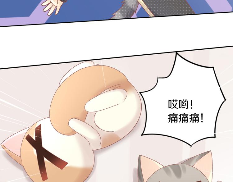 猫爪之下韩漫全集-第189话 杂物堆里的它无删减无遮挡章节图片 
