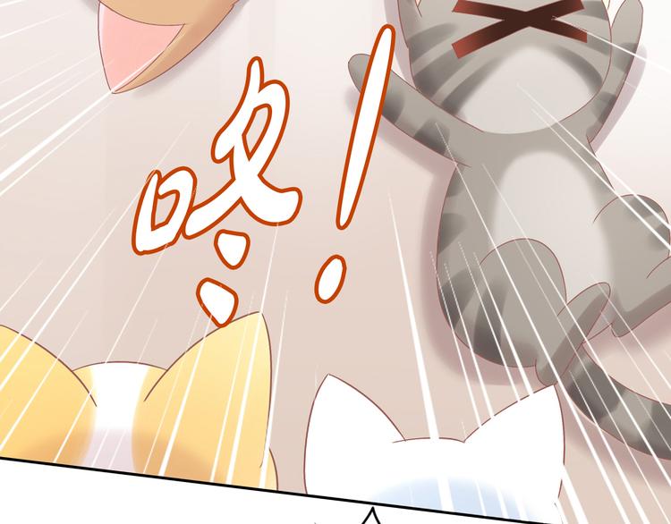 猫爪之下韩漫全集-第189话 杂物堆里的它无删减无遮挡章节图片 