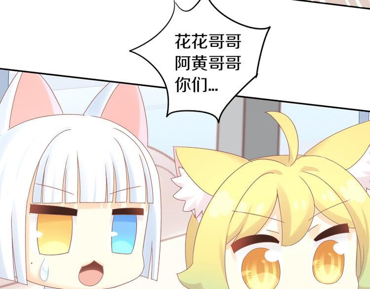 猫爪之下韩漫全集-第189话 杂物堆里的它无删减无遮挡章节图片 