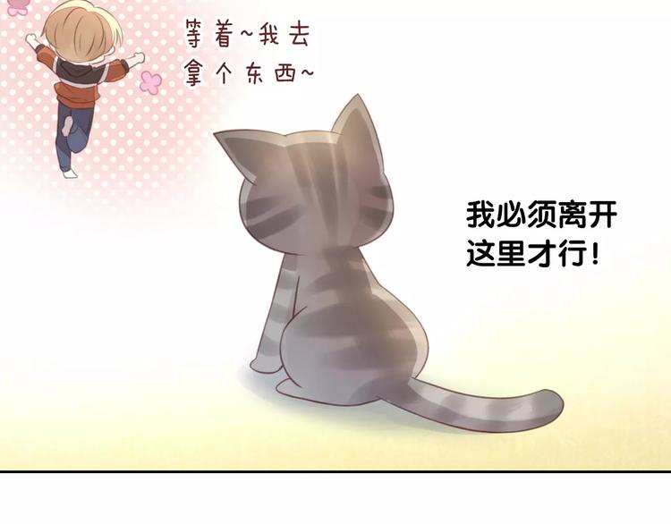 猫爪之下韩漫全集-第20话  互相照顾无删减无遮挡章节图片 