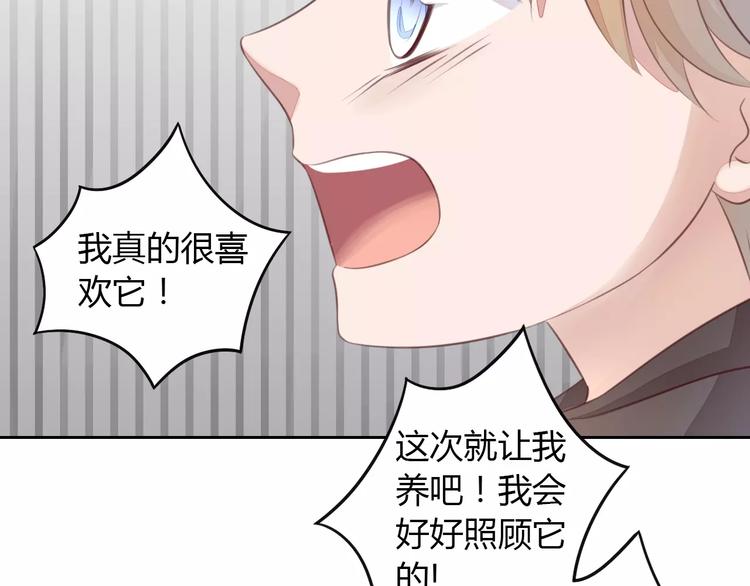 猫爪之下韩漫全集-第20话  互相照顾无删减无遮挡章节图片 