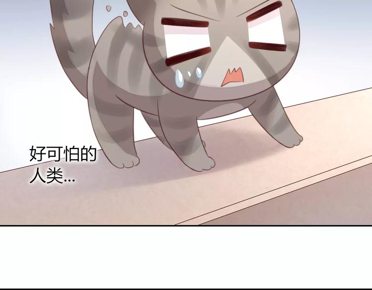 猫爪之下韩漫全集-第20话  互相照顾无删减无遮挡章节图片 