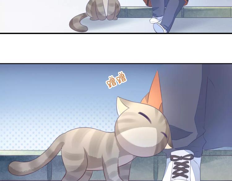 猫爪之下韩漫全集-第20话  互相照顾无删减无遮挡章节图片 