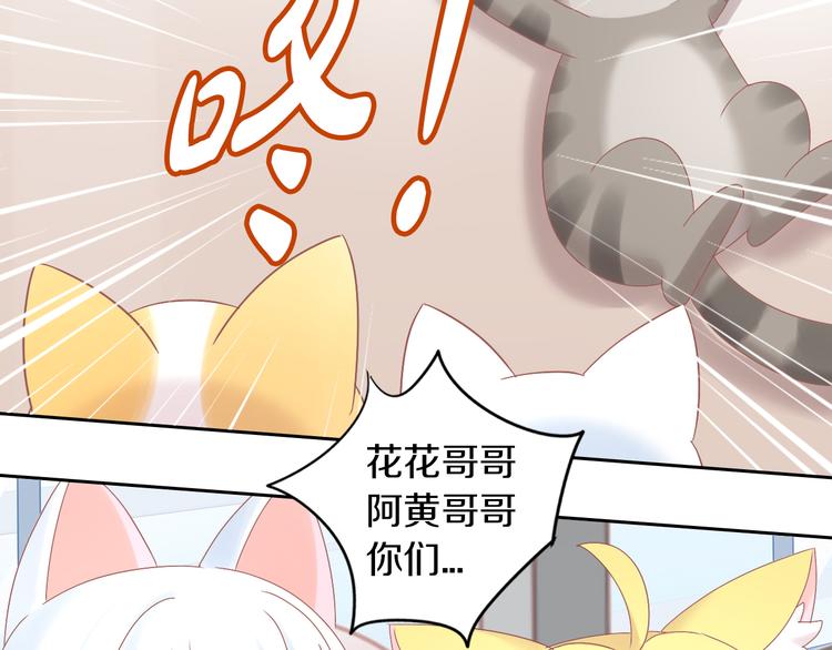 猫爪之下韩漫全集-第190话 兔叽的“坏心眼”无删减无遮挡章节图片 