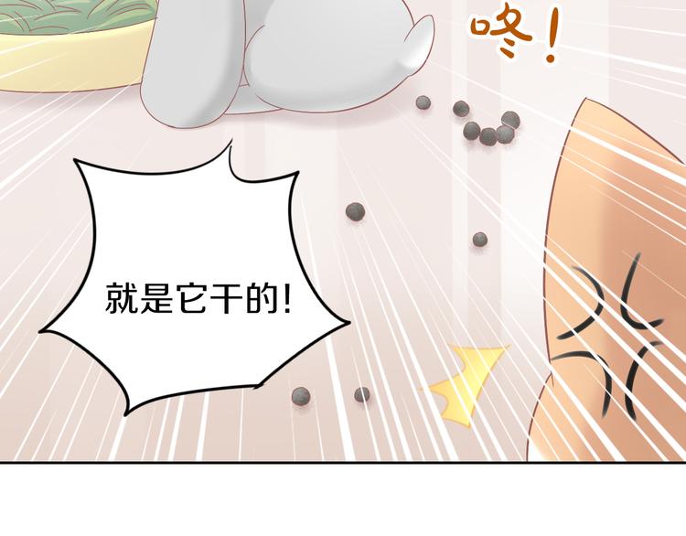 猫爪之下韩漫全集-第190话 兔叽的“坏心眼”无删减无遮挡章节图片 