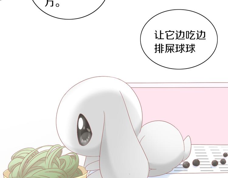 猫爪之下韩漫全集-第190话 兔叽的“坏心眼”无删减无遮挡章节图片 