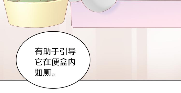 猫爪之下韩漫全集-第190话 兔叽的“坏心眼”无删减无遮挡章节图片 