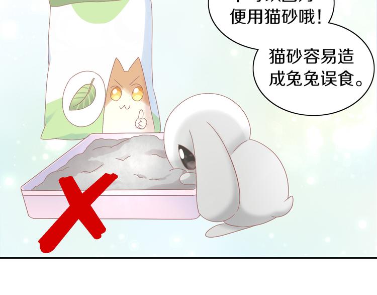 猫爪之下韩漫全集-第190话 兔叽的“坏心眼”无删减无遮挡章节图片 