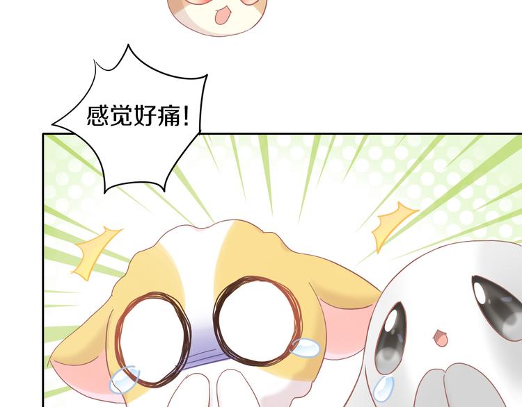 猫爪之下韩漫全集-第192话  牛无删减无遮挡章节图片 