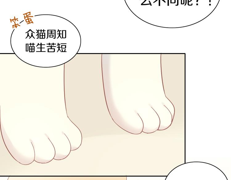 猫爪之下韩漫全集-第192话  牛无删减无遮挡章节图片 