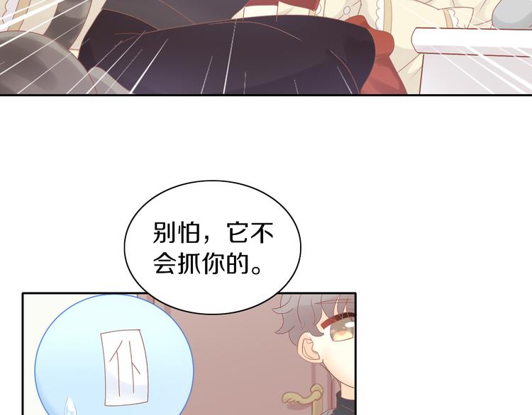 猫爪之下韩漫全集-第193话 被抛弃的它无删减无遮挡章节图片 