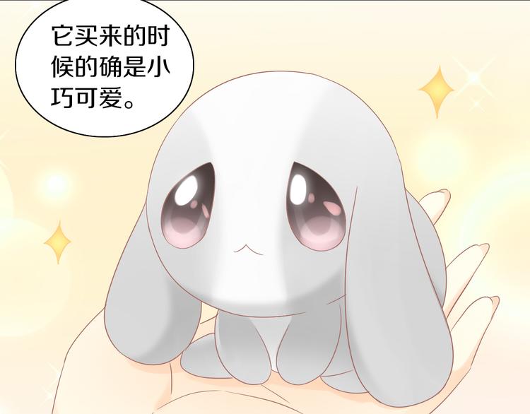 猫爪之下韩漫全集-第193话 被抛弃的它无删减无遮挡章节图片 