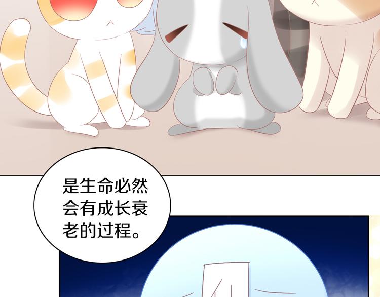 猫爪之下韩漫全集-第193话 被抛弃的它无删减无遮挡章节图片 