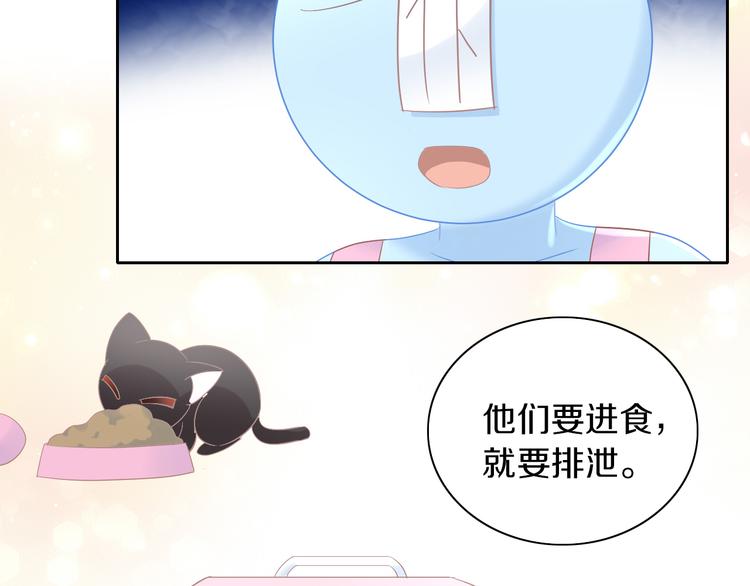 猫爪之下韩漫全集-第193话 被抛弃的它无删减无遮挡章节图片 