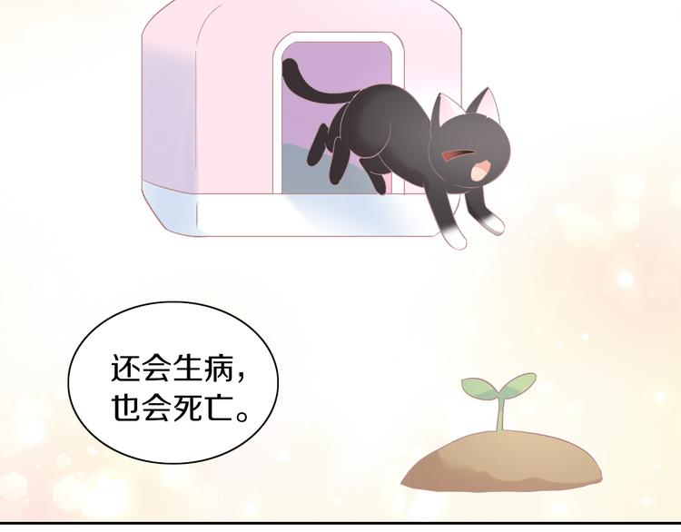猫爪之下韩漫全集-第193话 被抛弃的它无删减无遮挡章节图片 