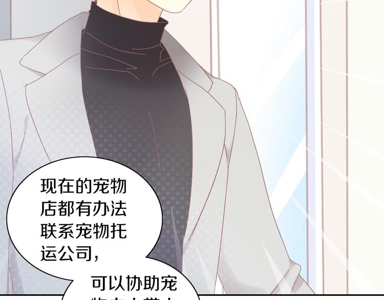 猫爪之下韩漫全集-第193话 被抛弃的它无删减无遮挡章节图片 