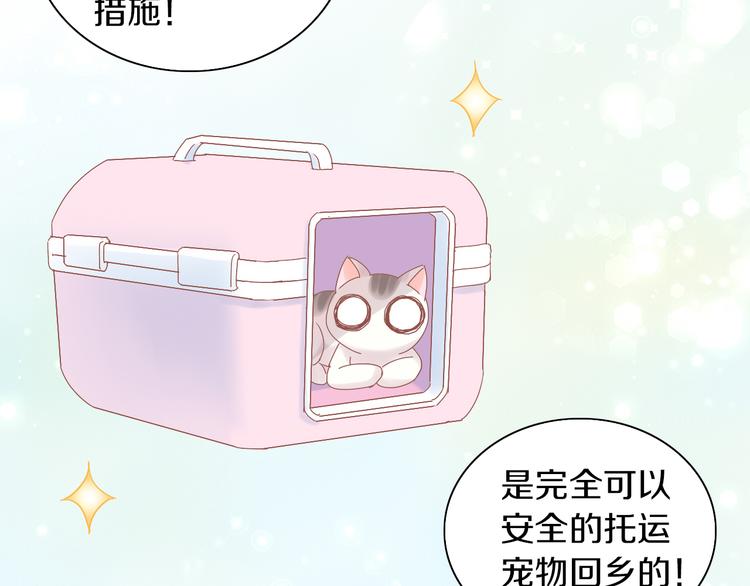 猫爪之下韩漫全集-第193话 被抛弃的它无删减无遮挡章节图片 
