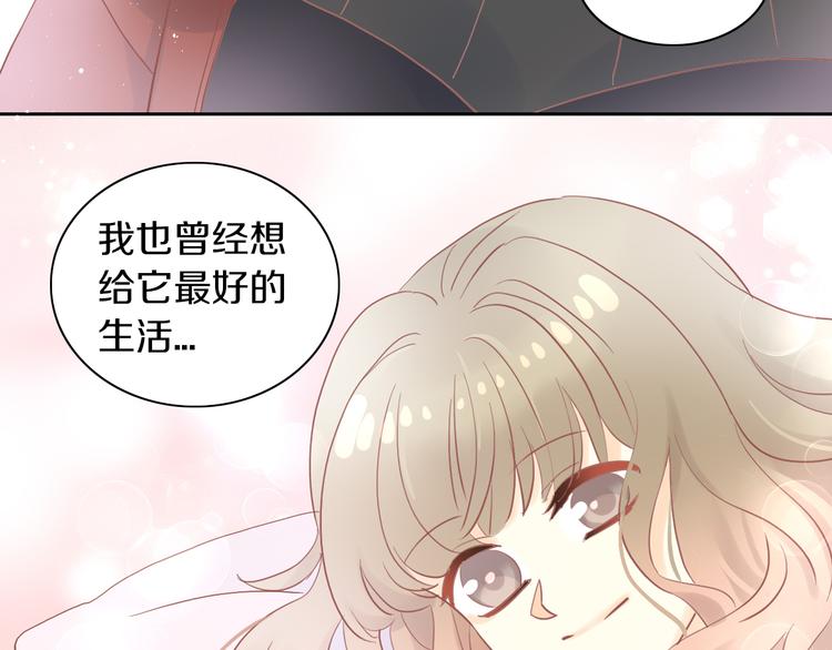 猫爪之下韩漫全集-第193话 被抛弃的它无删减无遮挡章节图片 
