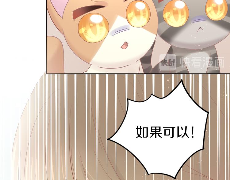 猫爪之下韩漫全集-第193话 被抛弃的它无删减无遮挡章节图片 