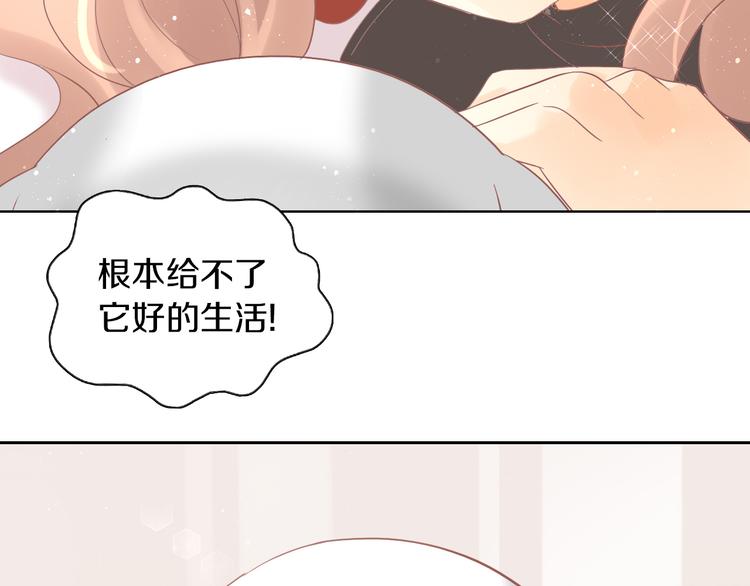猫爪之下韩漫全集-第193话 被抛弃的它无删减无遮挡章节图片 