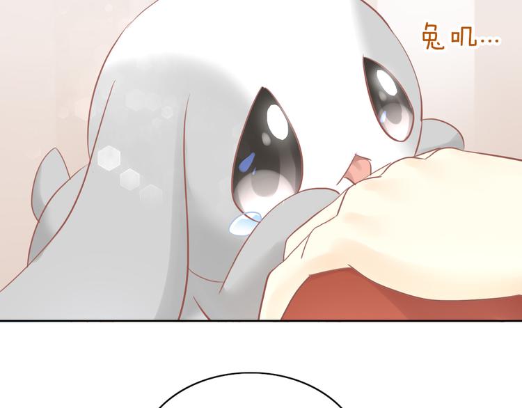 猫爪之下韩漫全集-第193话 被抛弃的它无删减无遮挡章节图片 