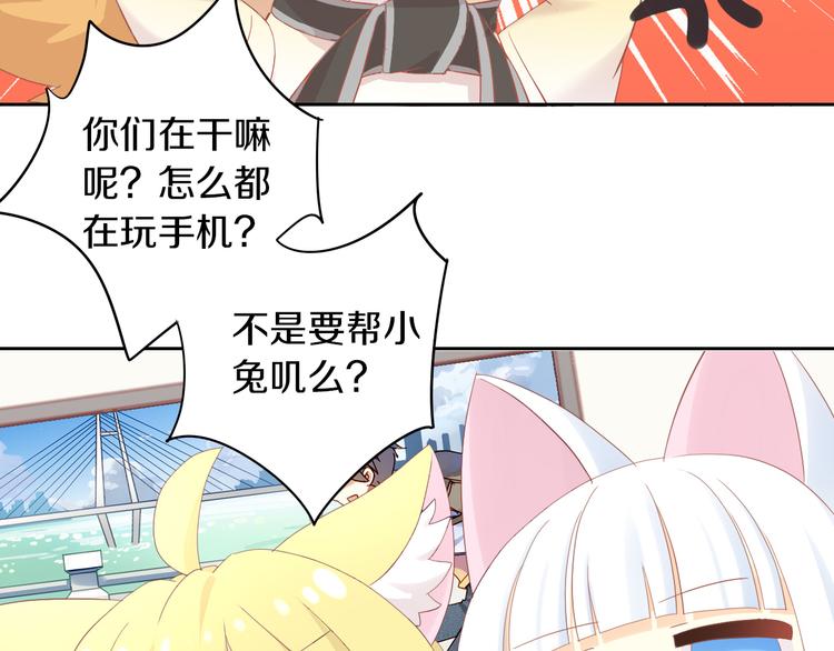 猫爪之下韩漫全集-第194话 选主人无删减无遮挡章节图片 