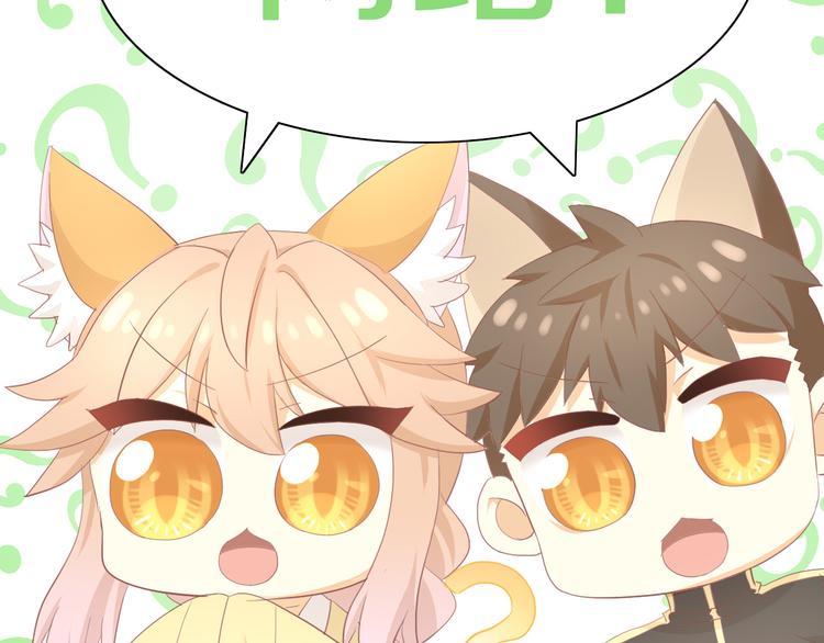 猫爪之下韩漫全集-第194话 选主人无删减无遮挡章节图片 