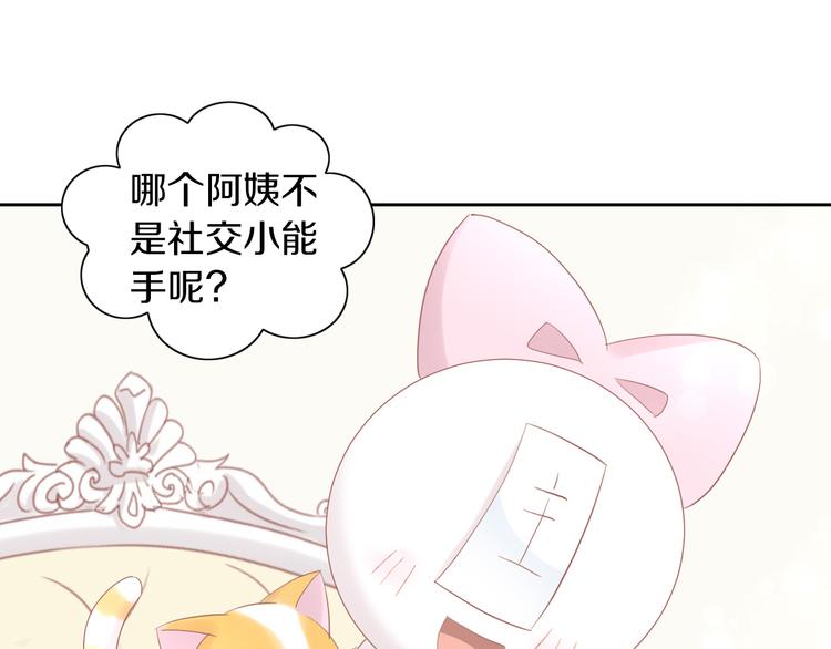 猫爪之下韩漫全集-第194话 选主人无删减无遮挡章节图片 