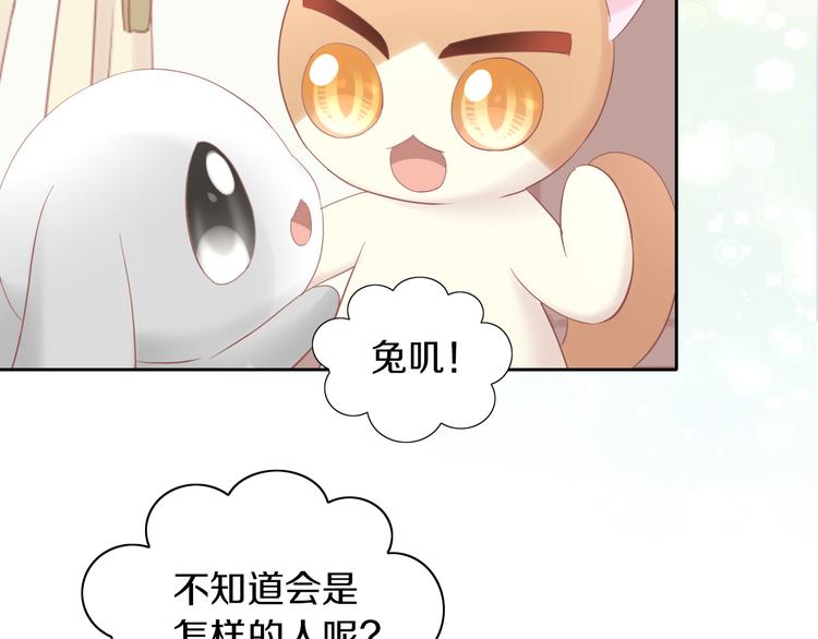 猫爪之下韩漫全集-第194话 选主人无删减无遮挡章节图片 