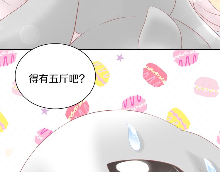猫爪之下韩漫全集-第194话 选主人无删减无遮挡章节图片 