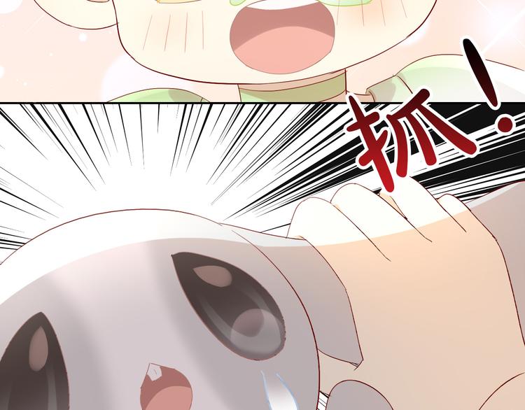 猫爪之下韩漫全集-第194话 选主人无删减无遮挡章节图片 