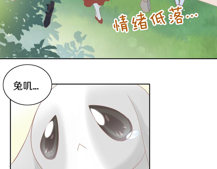 猫爪之下韩漫全集-第194话 选主人无删减无遮挡章节图片 