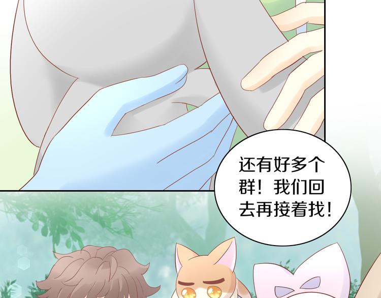 猫爪之下韩漫全集-第194话 选主人无删减无遮挡章节图片 