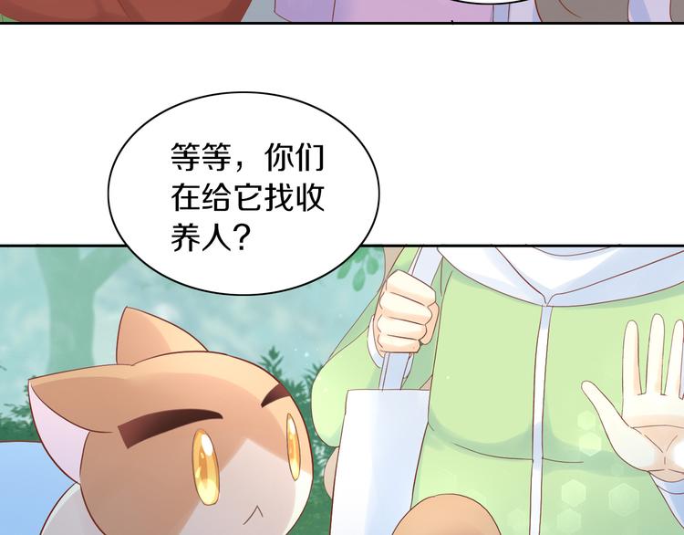 猫爪之下韩漫全集-第194话 选主人无删减无遮挡章节图片 