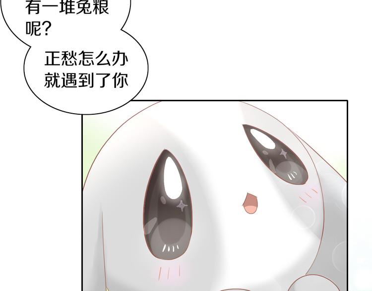 猫爪之下韩漫全集-第194话 选主人无删减无遮挡章节图片 