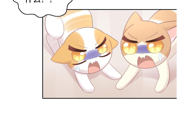 猫爪之下韩漫全集-第194话 选主人无删减无遮挡章节图片 