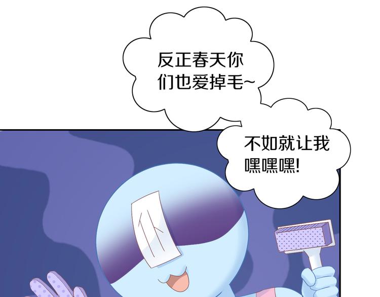 猫爪之下韩漫全集-第194话 选主人无删减无遮挡章节图片 