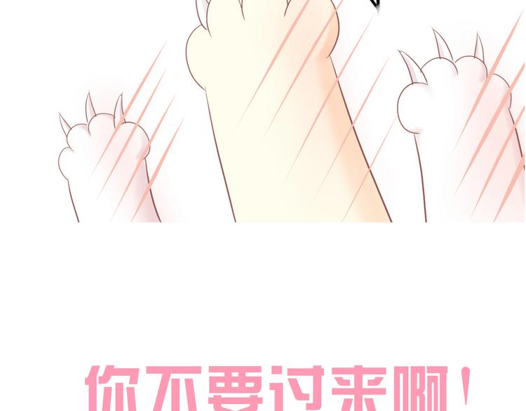 猫爪之下韩漫全集-第194话 选主人无删减无遮挡章节图片 