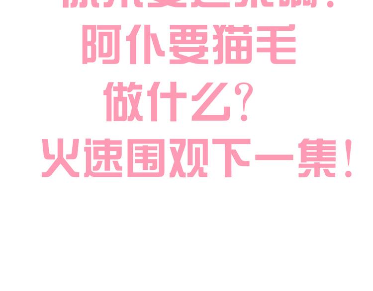 猫爪之下韩漫全集-第194话 选主人无删减无遮挡章节图片 