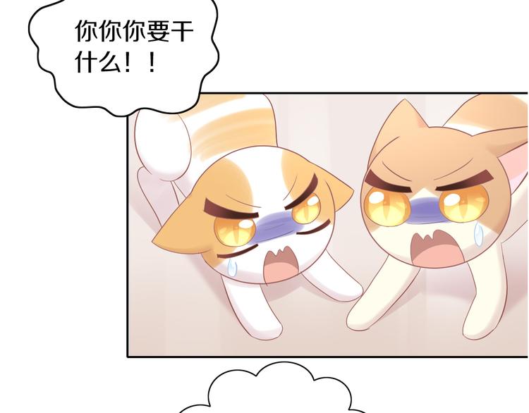 猫爪之下韩漫全集-第195话  宠物毛毡无删减无遮挡章节图片 