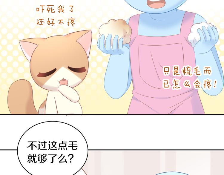 猫爪之下韩漫全集-第195话  宠物毛毡无删减无遮挡章节图片 