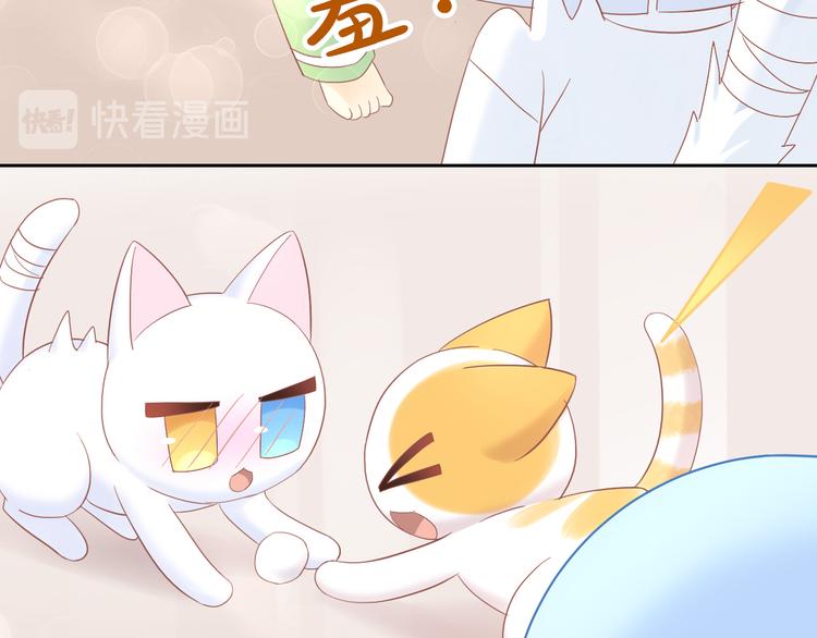 猫爪之下韩漫全集-第195话  宠物毛毡无删减无遮挡章节图片 