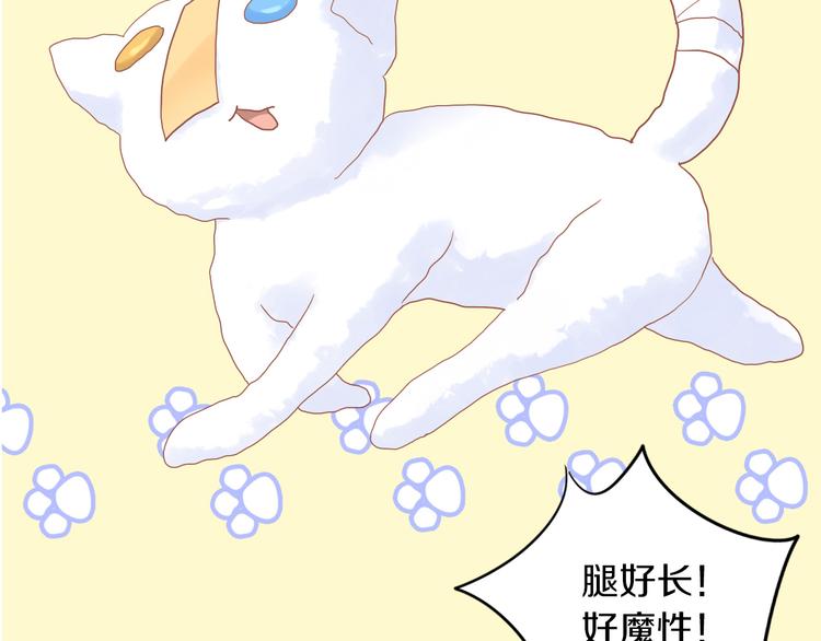 猫爪之下韩漫全集-第195话  宠物毛毡无删减无遮挡章节图片 