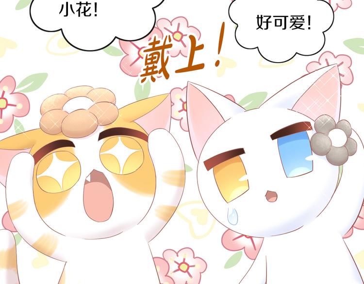猫爪之下韩漫全集-第195话  宠物毛毡无删减无遮挡章节图片 