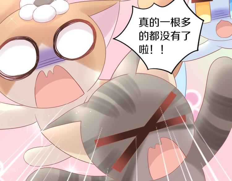 猫爪之下韩漫全集-第195话  宠物毛毡无删减无遮挡章节图片 