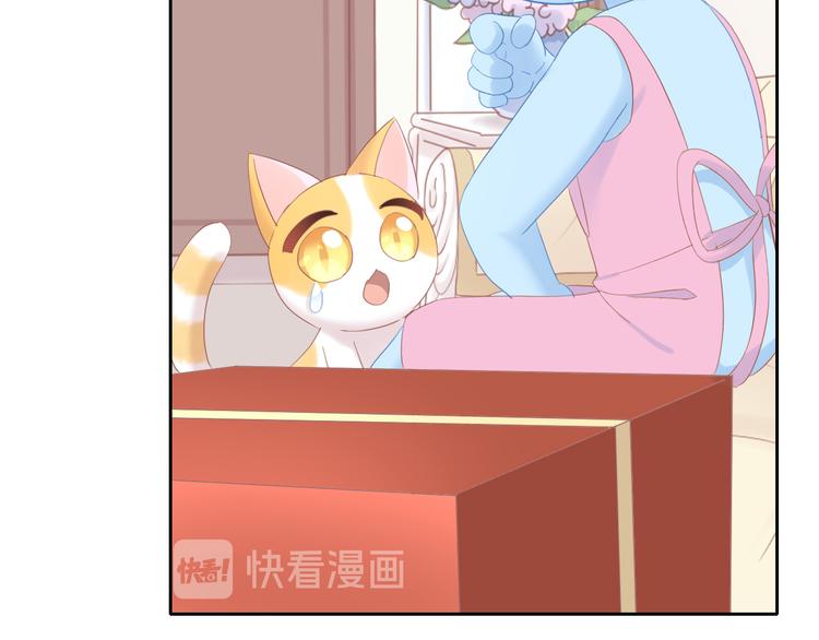 猫爪之下韩漫全集-第196话 苹果大改造!无删减无遮挡章节图片 