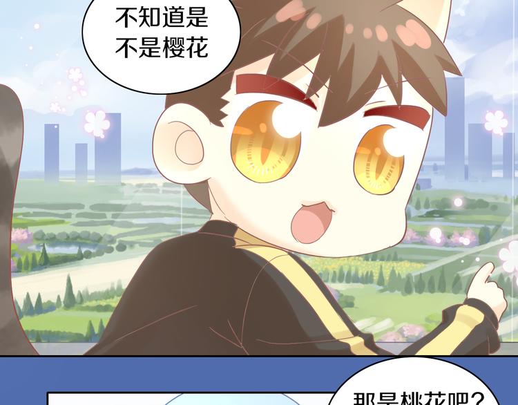 猫爪之下韩漫全集-第197话 樱花攻略无删减无遮挡章节图片 