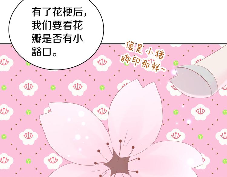 猫爪之下韩漫全集-第197话 樱花攻略无删减无遮挡章节图片 