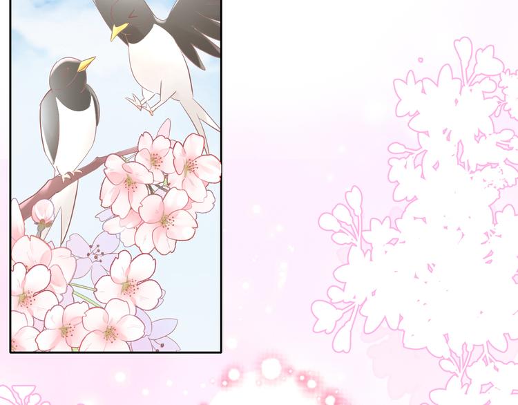 猫爪之下韩漫全集-第197话 樱花攻略无删减无遮挡章节图片 