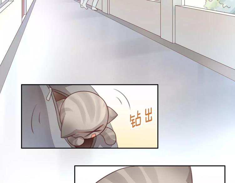 猫爪之下韩漫全集-第21话  糟糕！被发现了无删减无遮挡章节图片 